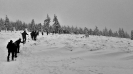 Ekspedycja 6 Karkonosze 7-9.01.2020-29