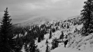 Ekspedycja 6 Karkonosze 7-9.01.2020-33