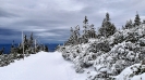 Ekspedycja 6 Karkonosze 7-9.01.2020-52