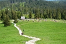 Tatry i Słowacki Raj - Nauczycielski Klub Górski 2-4.06.2017-8