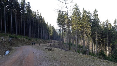 Wyjazd na Śnieżnik i Jagodną 28-29.03.2017-77