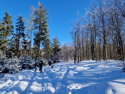 Ekspedycja 14 Beskidy 17-20.02.2025-17
