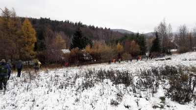 Ekspedycja 2-8