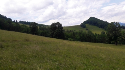 Ekspedycja 3 - Turbacz, Wysoka, Radziejowa 11-14.06.2018-13