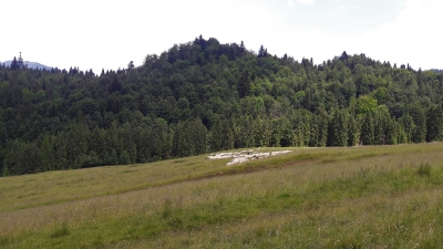Ekspedycja 3 - Turbacz, Wysoka, Radziejowa 11-14.06.2018-14