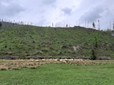 Ekspedycja 5 - Tatry 27-30.05.2019-30