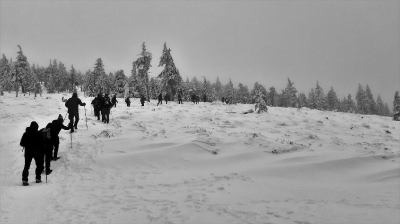 Ekspedycja 6 Karkonosze 7-9.01.2020-29