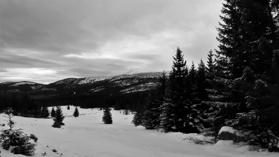 Ekspedycja 6 Karkonosze 7-9.01.2020-40
