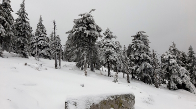 Ekspedycja 6 Karkonosze 7-9.01.2020-70