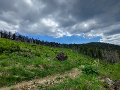 Ekspedycja 7 Beskidy 14-17.06.2021-11